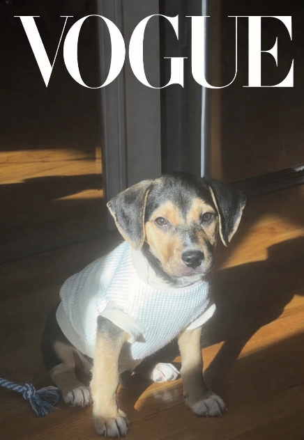 Patrick Vogue